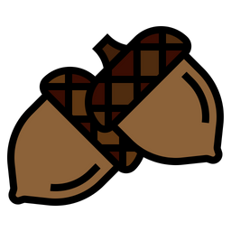 Acorn  Icon