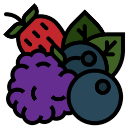 Fruit  Icon