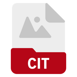 Cit file  Icon