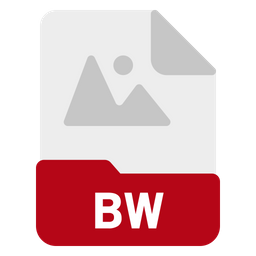 Bw file  Icon