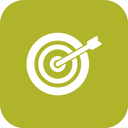 Bullseye  Icon