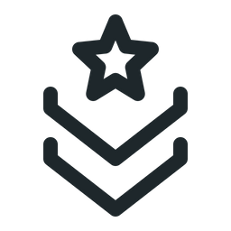 Estrella insignia  Icono