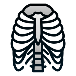 Ribs Cage  Icon