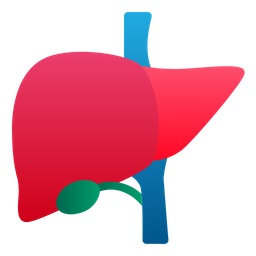 Liver Human Organ Icon