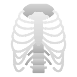 갈비뼈  아이콘