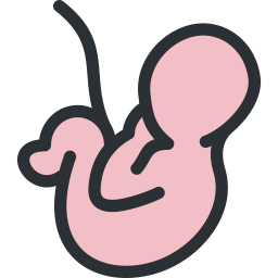 Embryo  Icon