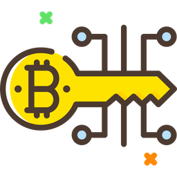 Bitcoin Digital Key  Icon