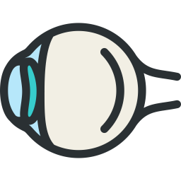 Eye  Icon