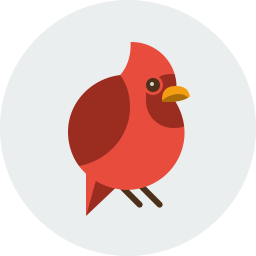 Bird  Icon