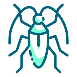 Insect  Icon