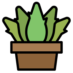 Aloevera  Icon