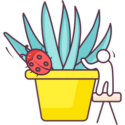 Aloe Vera  Icon