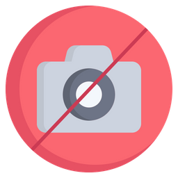 Camera Prohibited  Icon