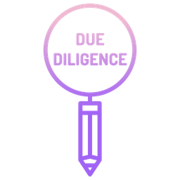 Due Diligence  Icon