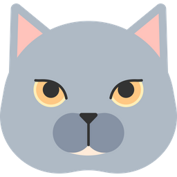 British Shorthair  Icon