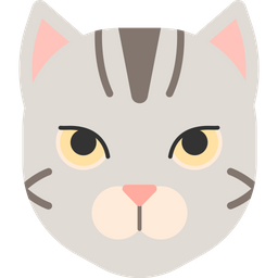 American Shorthair  Icon