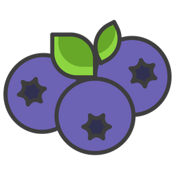 Blueberry  Icon