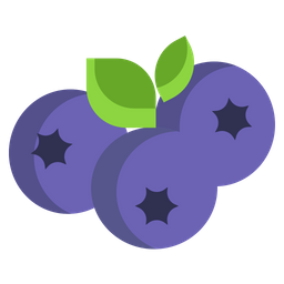 Blueberry  Icon