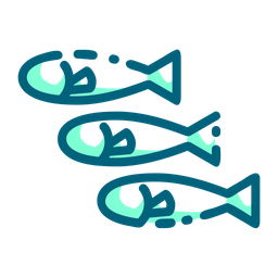 Fish  Icon