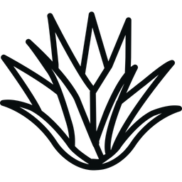 Aloe Vera  Icon