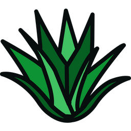 Aloe Vera  Icon