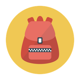 Bag  Icon