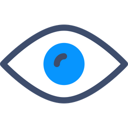 Eye  Icon