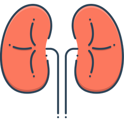 Kidneys  Icon