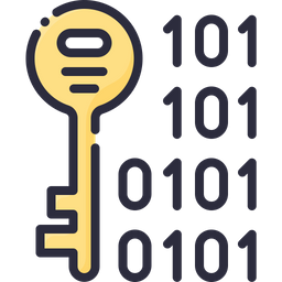 Binary Key  Icon