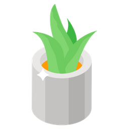 Aloe Vera  Icon