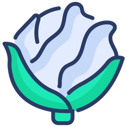 Cabbage  Icon