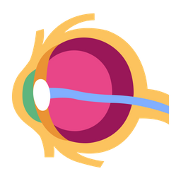 Eye  Icon