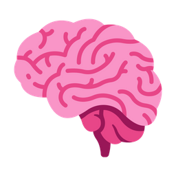 Brain  Icon