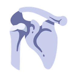 Bone shoulder  Icon