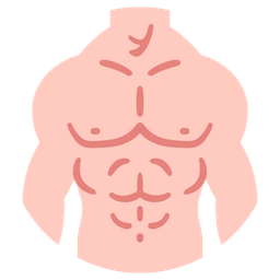 Body male muscle  Icon