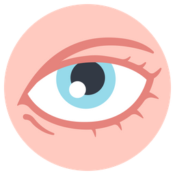 Eye  Icon