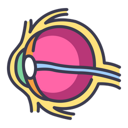 Eye  Icon