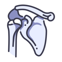 Bone shoulder  Icon