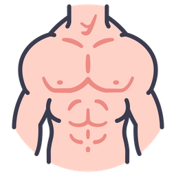 Body male muscle  Icon