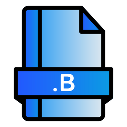 B File  Icon