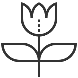 Plant  Icon