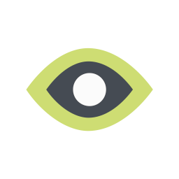 Eye  Icon