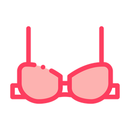 Bra  Icon