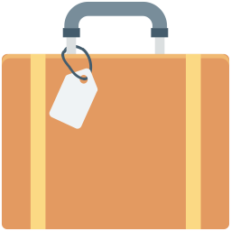 Bag  Icon