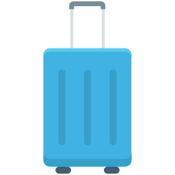 Bag  Icon