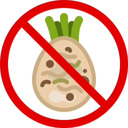 Celery  Icon