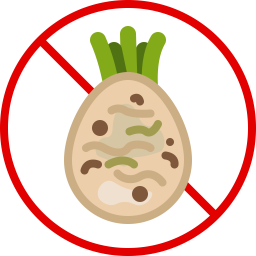 Celery  Icon