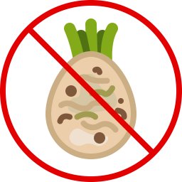 Celery  Icon