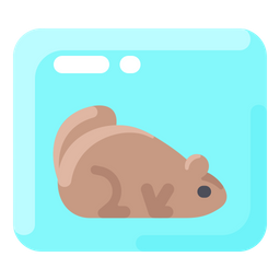 Frozen Groundhog  Icon