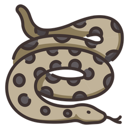 Anaconda  Icon